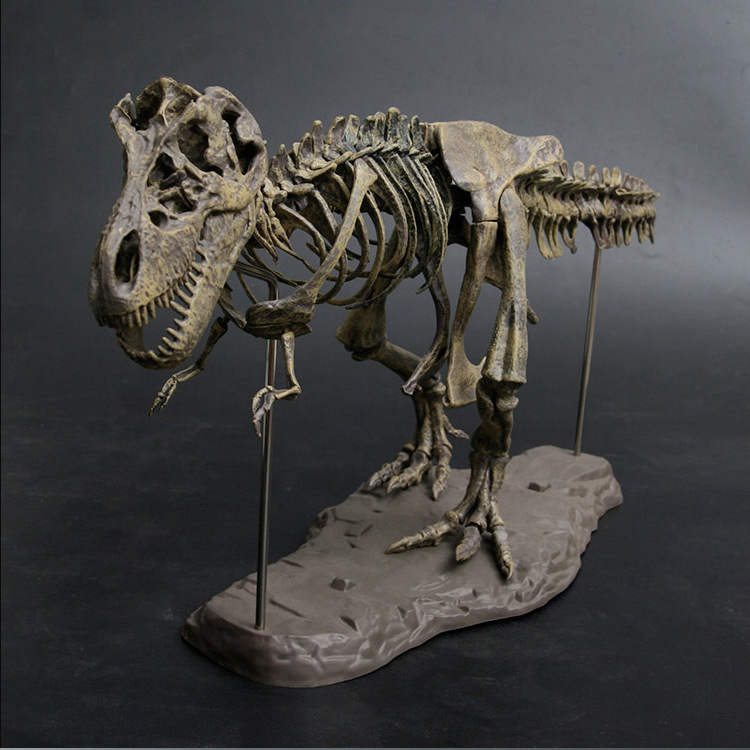 Kids Toys Dinosaur - 4D Large DIY Dinosaur Skeleton Toys