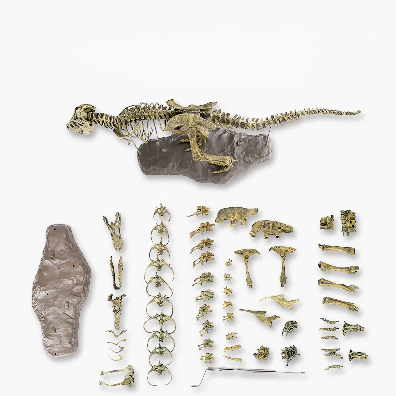 4D Large DIY Dinosaur Skeleton - Kids Toys Dinosaur review and price